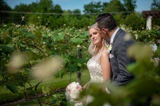 Birch Wood Vineyards by Wedgewood Weddings - 106