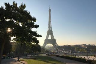 Ruffled By Grace - 23