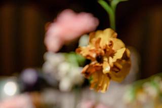 Floraland Weddings & Events - 43