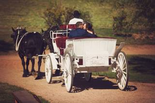 Ellis Ranch Wedding Park - 5