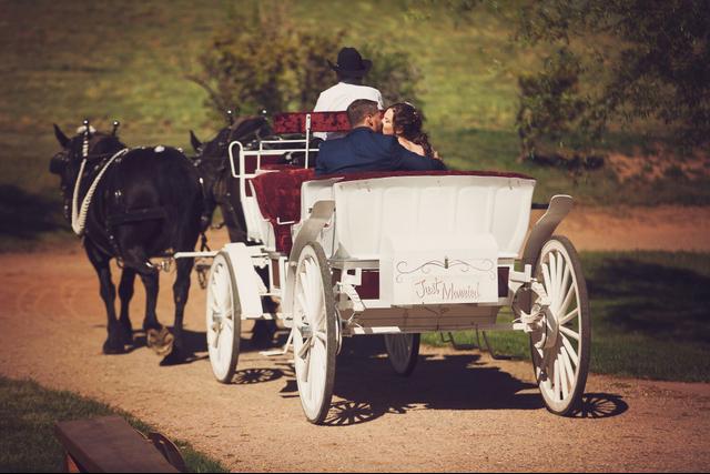 Ellis Ranch Wedding Park - 1