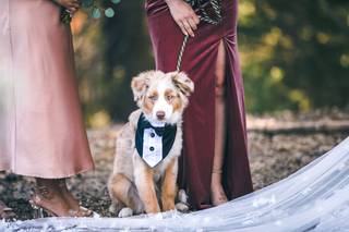 Leniel V. Photography - 55