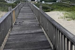 The Three Authors - 11