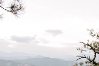 Teresa Woodhull Photography - 37