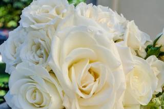 Taylored Grace Designs - 5