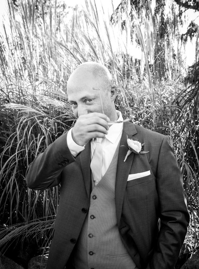 Peter Doyle Photography - 2