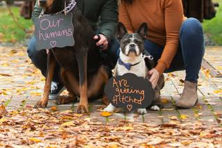 Emma Lee Photography - 13