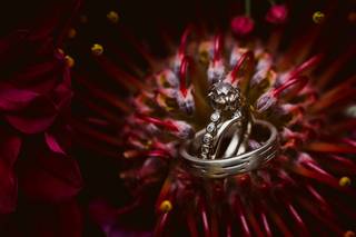 Vero Amore Weddings by Lisa Czech Photography - 12