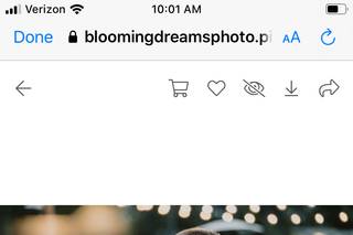 Blooming Dreams Photo - 39