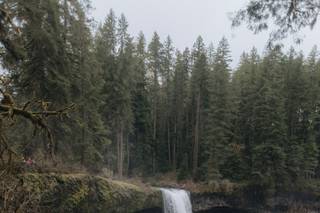 Georgy Shishkin Photography - 34