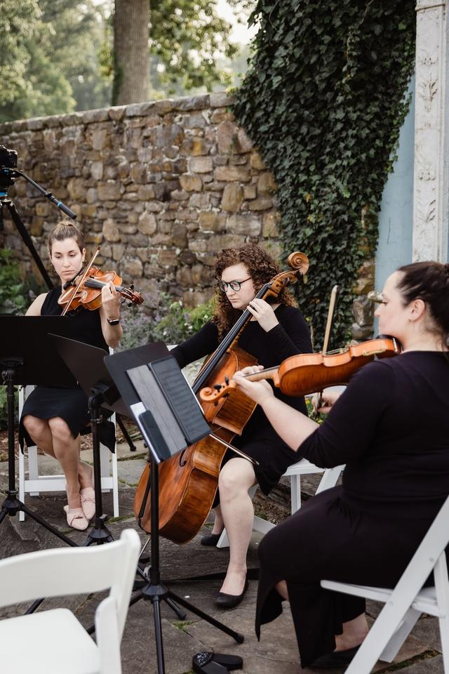 Legacy String Trio - 1