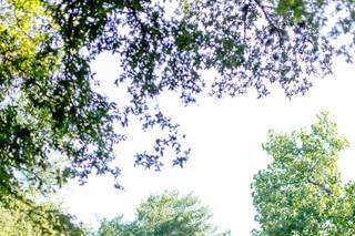 UMLAUF Sculpture Garden & Museum - 21