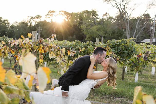 Limelight Photography & Entertainment 5
