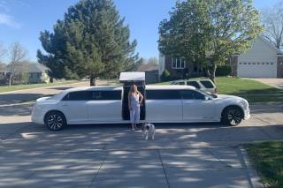 VIP Sedan &  Limousine - 4