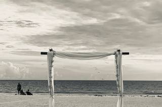 Expert Wedding Productions - 24