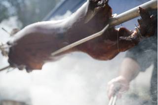 Black Bear BBQ - 8
