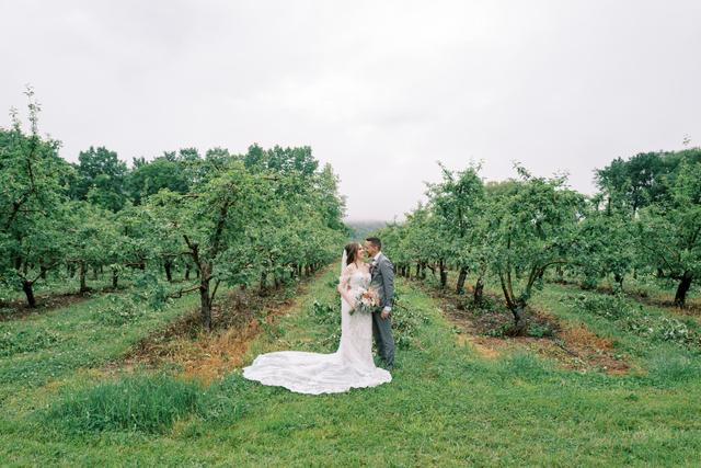 Nostrano Vineyards - 3