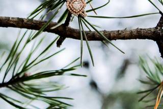 Ashley Craddock Photography - 32