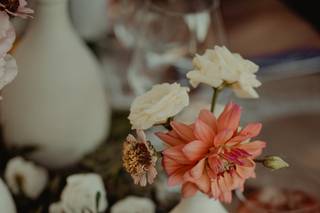 Moretti Events - 11