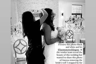 Harmony Weddings and Events - 68