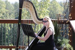 Tyler Hartley Atlanta Harpist - 21