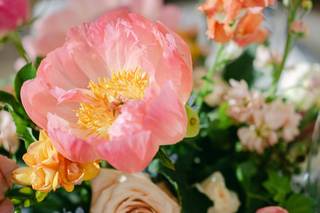 Kate Campbell Floral - 16