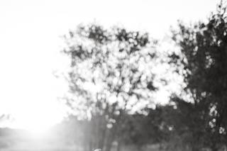 Emma Marie Photography - 5