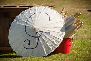Black Swan Events - 29