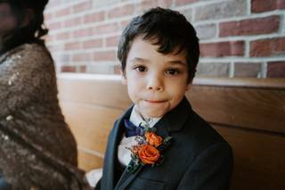 Petal & Wren - 104