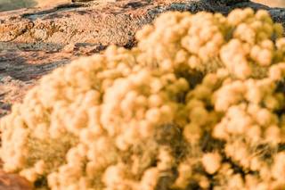 Maija Karin Photography - 31