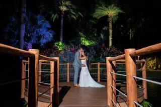 Organic Moments Photography - 22