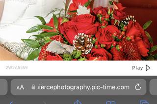 Alicia Pierce Photography - 16