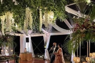 Pea to Tree Events - 14