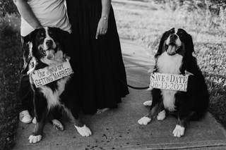 Kyndal Elise Photography - 5