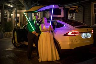 Tesla Limousine Service of Orlando - 21