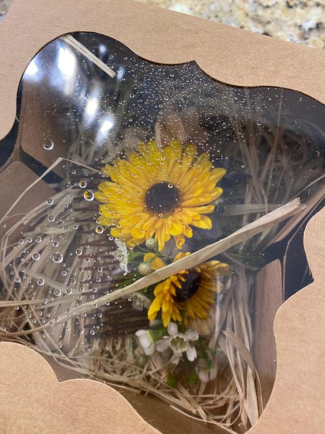 Uproot Flower Co. - 2