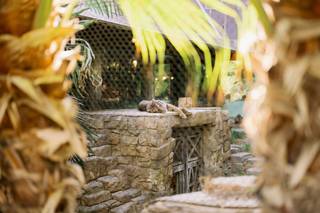 San Diego Zoo Wildlife Alliance - 45