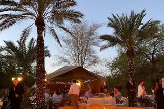 Phoenix Zoo - 7