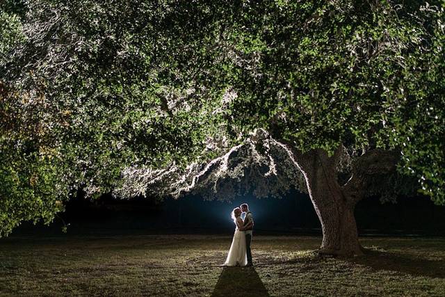 Allison Jeffers Wedding Photography 3