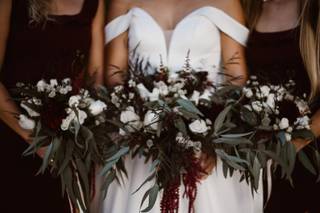 Melody Cook Photography - 14
