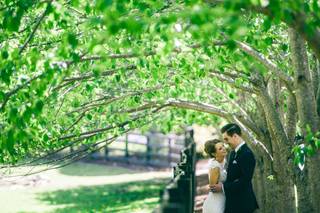 Vesic Photography - 26