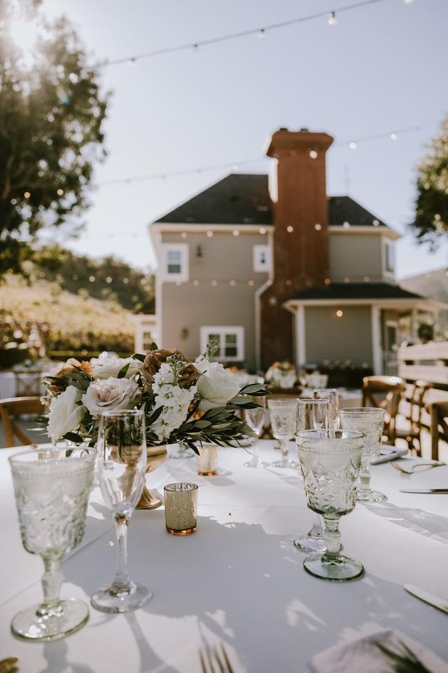 Casi Cielo Vineyards - 2