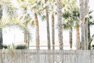 Petula Pea Photography - 12