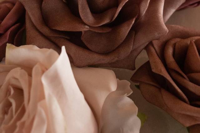 Creative Interpretations Photography 4