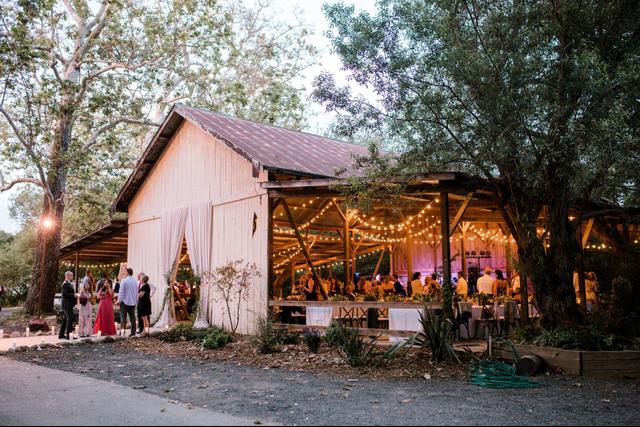 Tyler Speier Events - 4