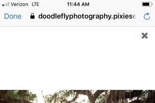 Doodle Fly Photography - 7