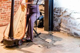 Erin Baker Harpist - 6