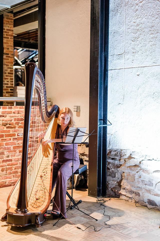 Erin Baker Harpist - 3