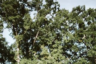 Kelley Deal Photography - 8