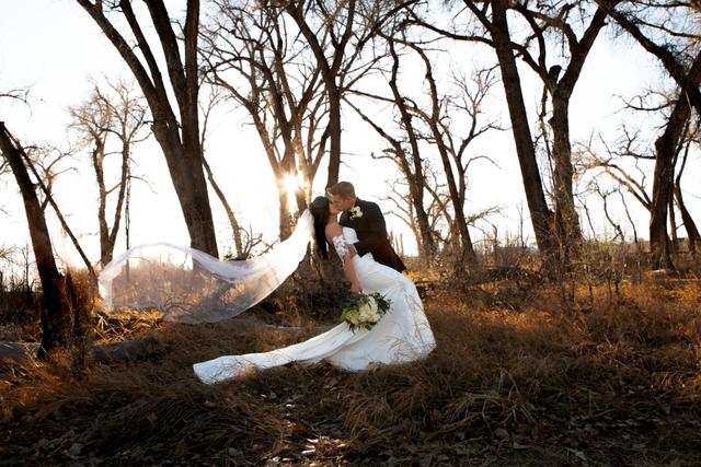 Photography By Arianne - 3
